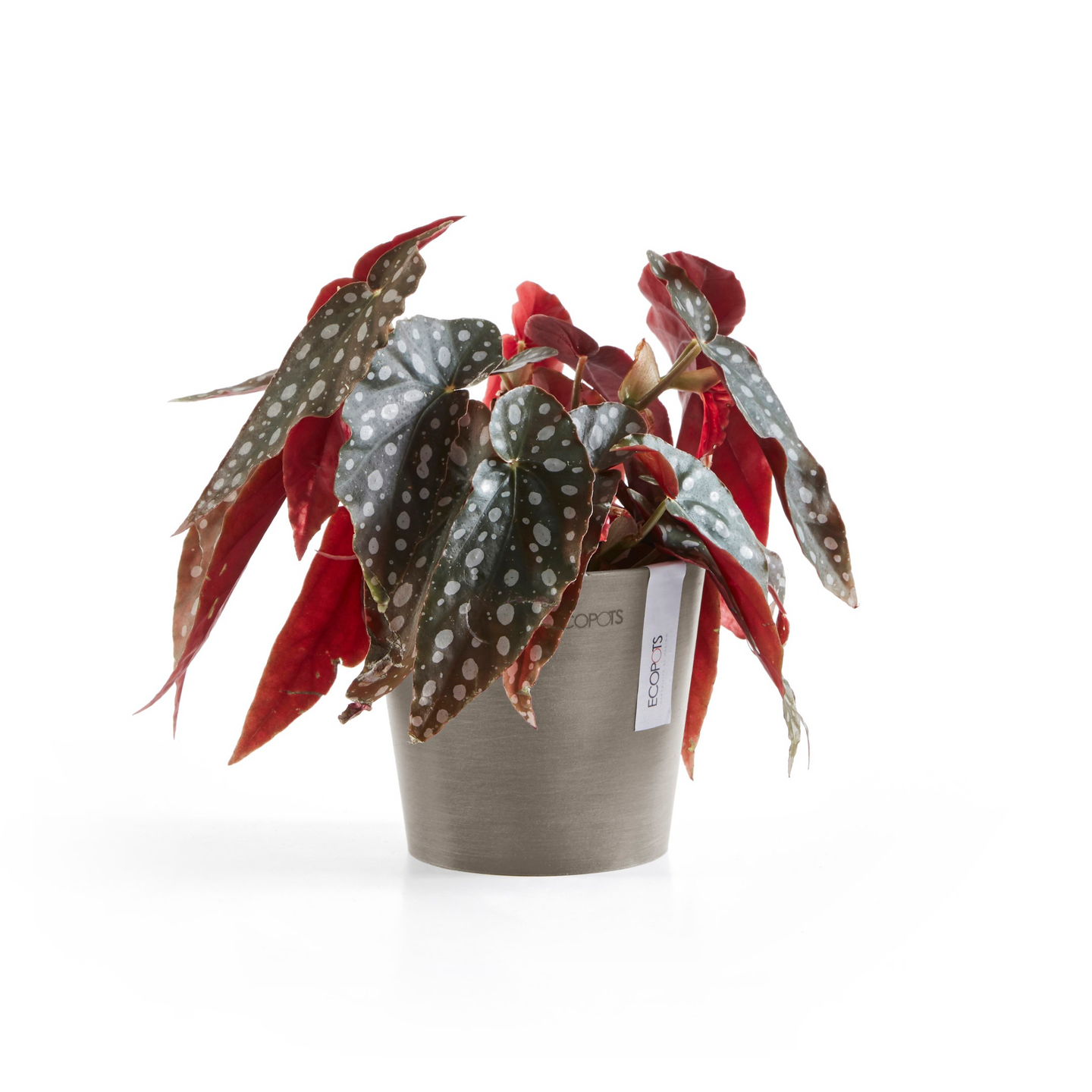 Ruukku Ecopots Amsterdam mini 13cm taupe