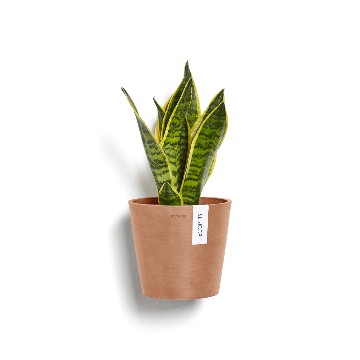 Seinäruukku Ecopots Amsterdam 20cm terracotta