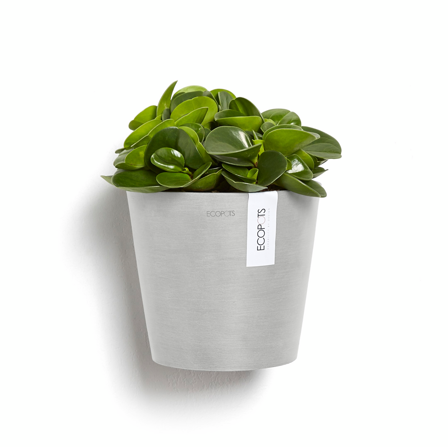 Seinäruukku Ecopots Amsterdam 20cm valkoharmaa