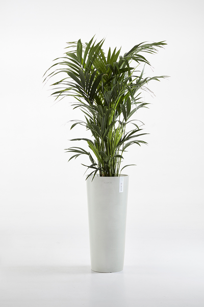 Ruukku Ecopots Amsterdam korkea 72,5cm valkoharmaa