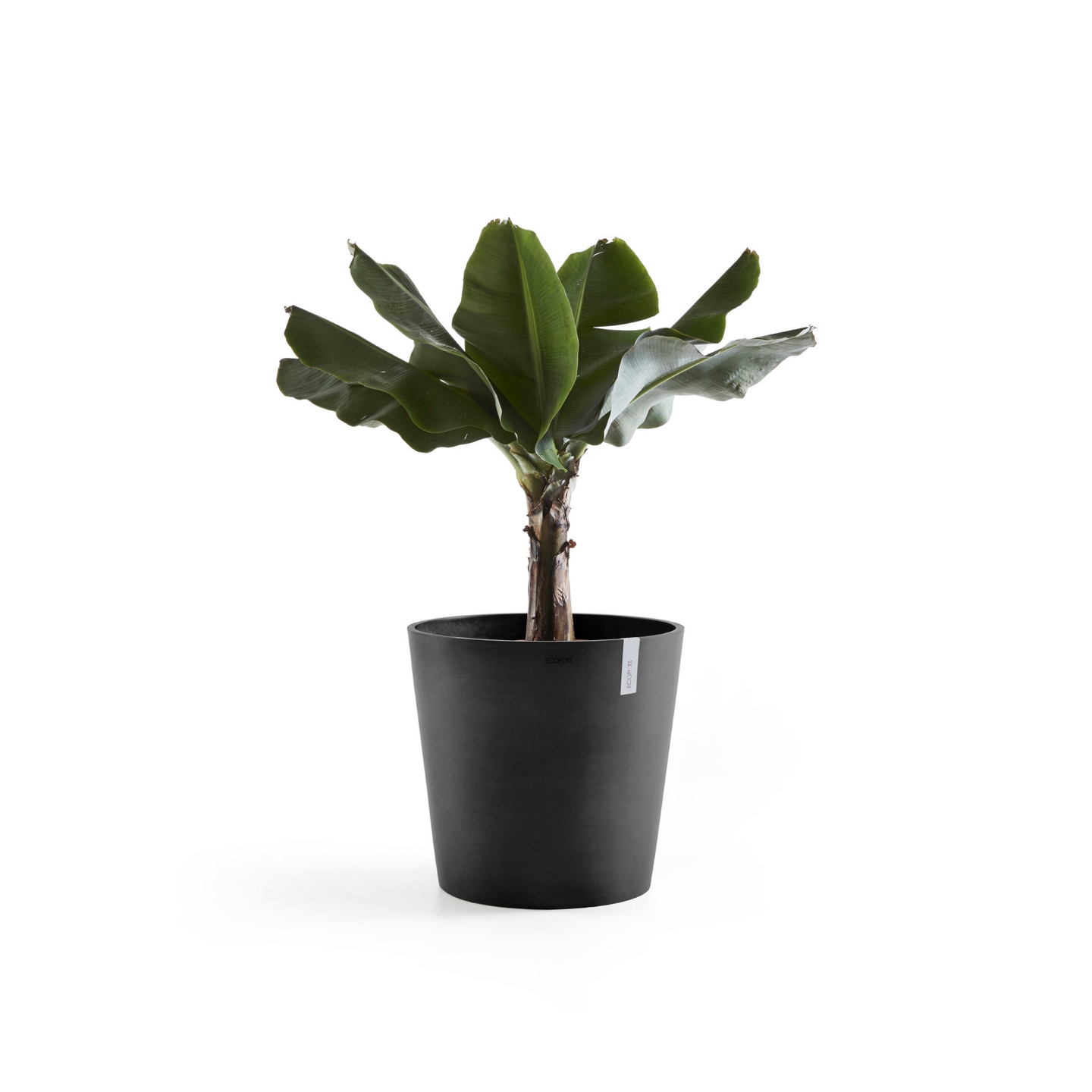 Ruukku Ecopots Amsterdam 60cm tummanharmaa