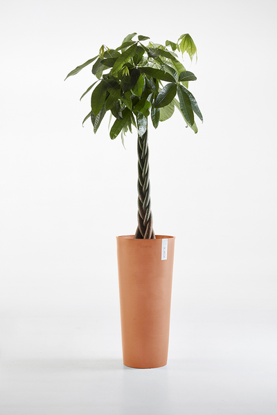 Ruukku Ecopots Amsterdam korkea 72,5cm terracotta