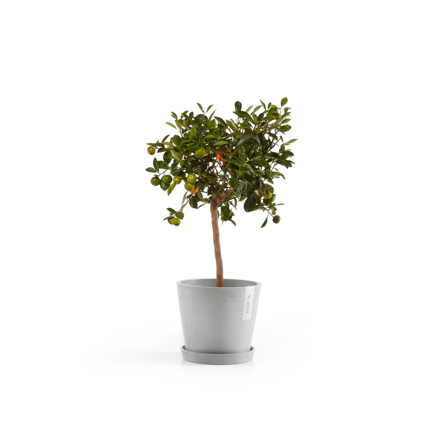 Ruukku Ecopots Amsterdam 20cm vaaleanharmaa