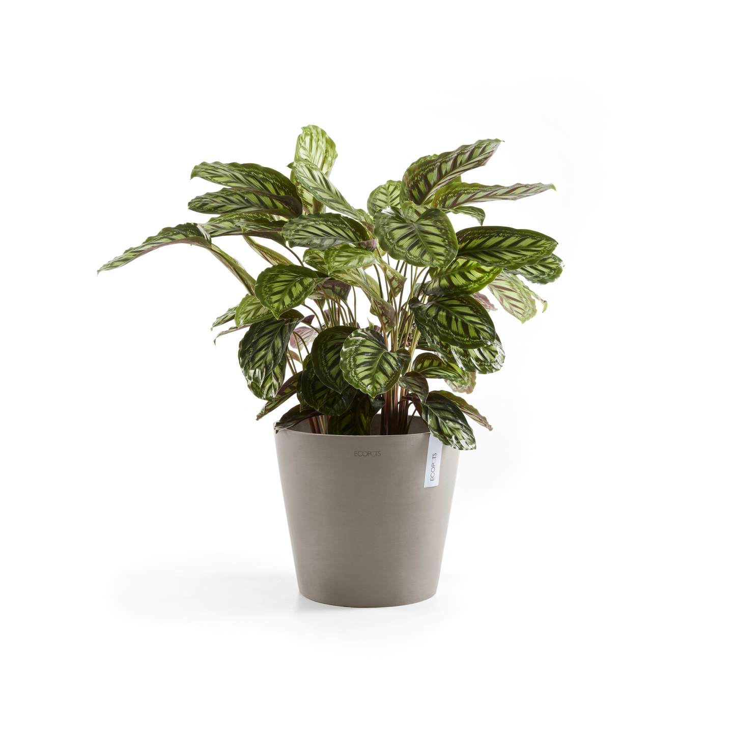 Ruukku Ecopots Amsterdam 25cm taupe