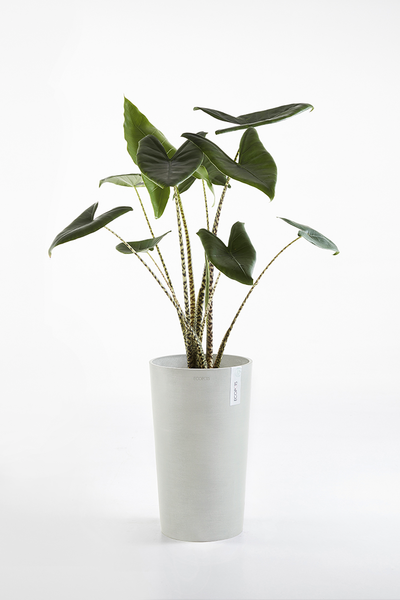 Ruukku Ecopots Amsterdam keskikorkea 50cm valkoharmaa