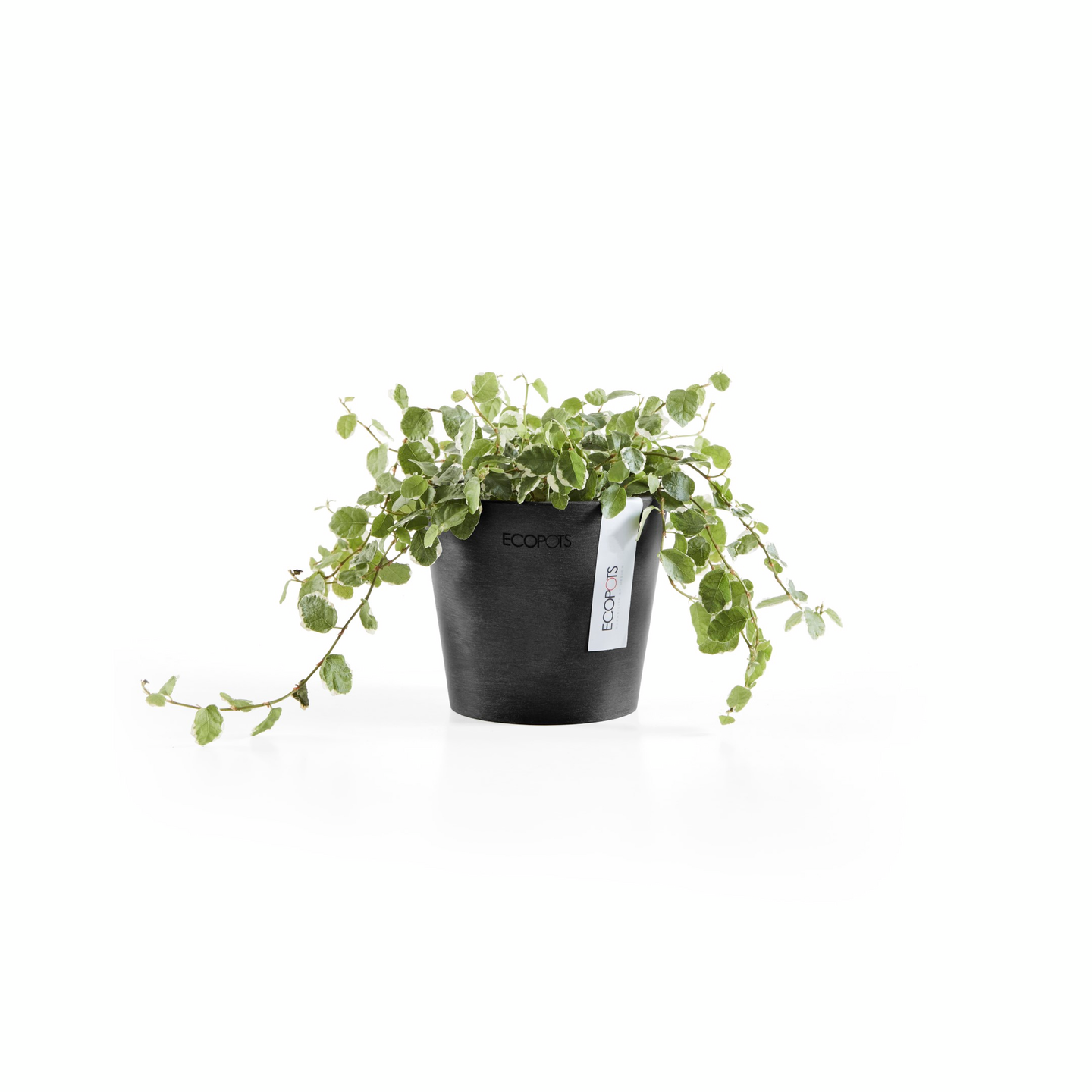 Ruukku Ecopots Amsterdam mini 10,5cm tummanharmaa