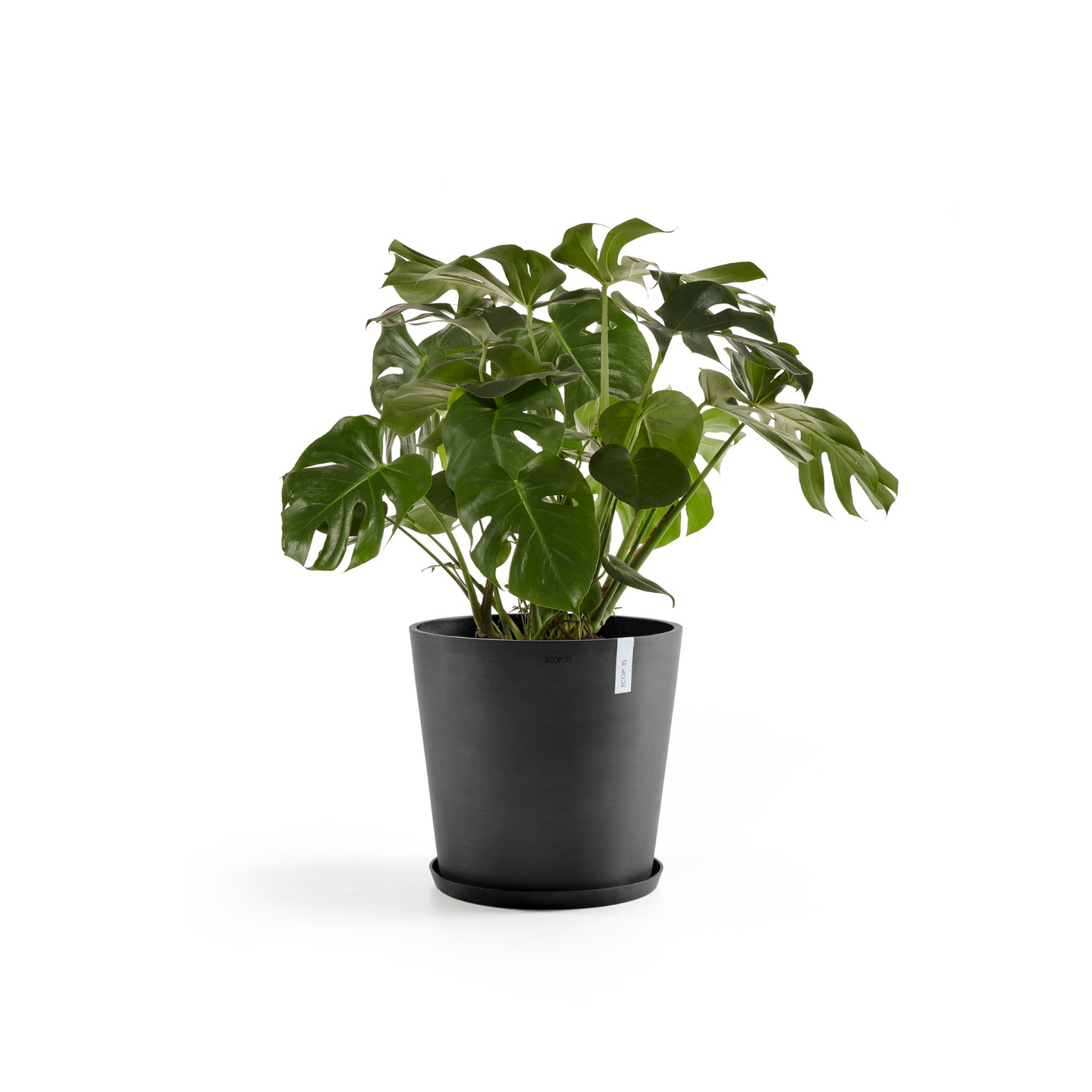 Ruukku Ecopots Amsterdam 50cm tummanharmaa