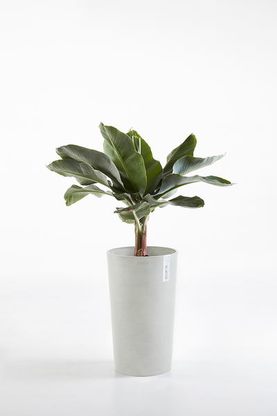 Ruukku Ecopots Amsterdam keskikorkea 50cm valkoharmaa