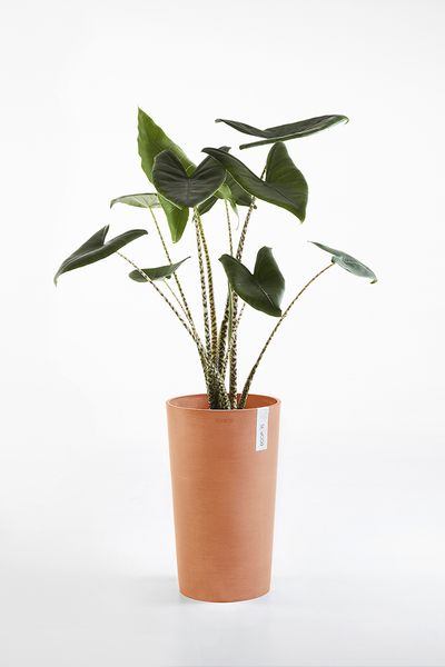 Ruukku Ecopots Amsterdam keskikorkea 50cm terracotta