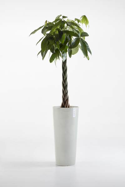 Ruukku Ecopots Amsterdam korkea 72,5cm valkoharmaa