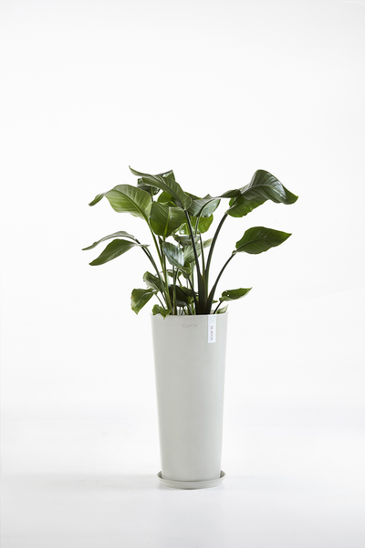 Ruukku Ecopots Amsterdam korkea 72,5cm valkoharmaa