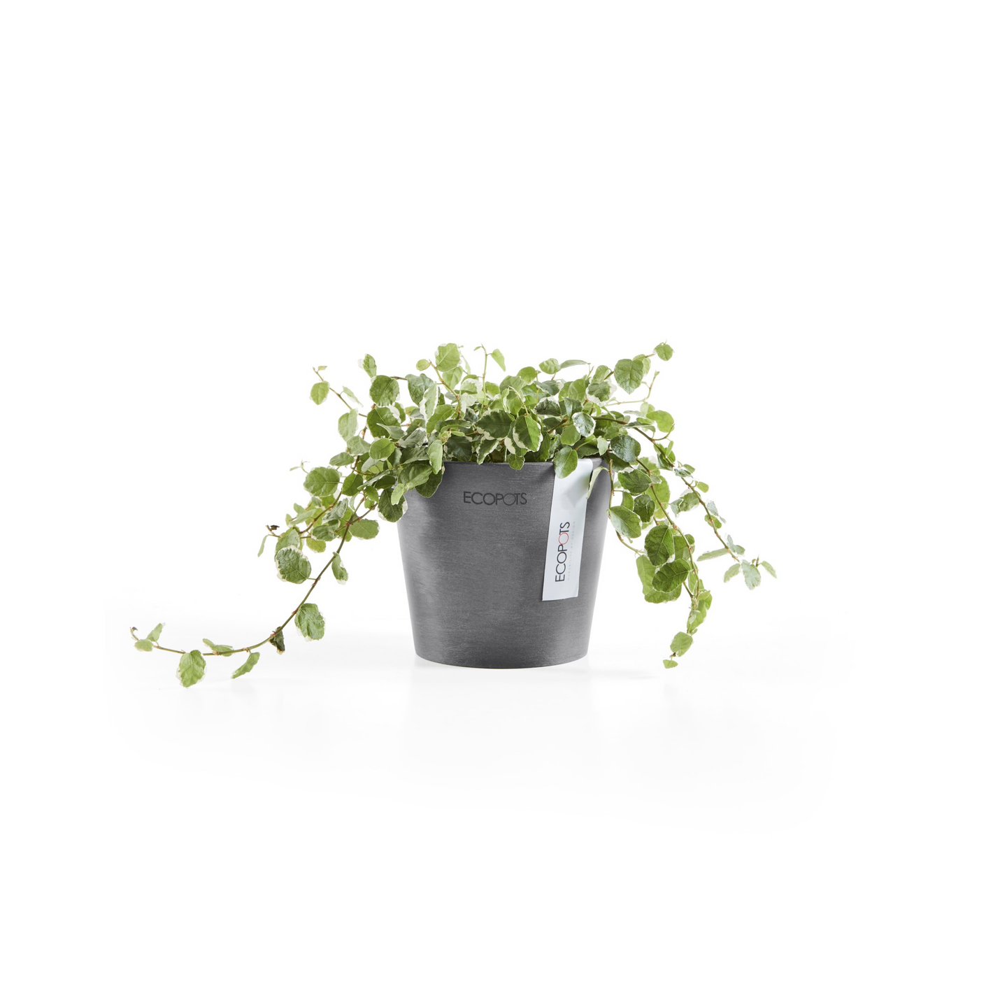 Ruukku Ecopots Amsterdam mini 10,5cm harmaa
