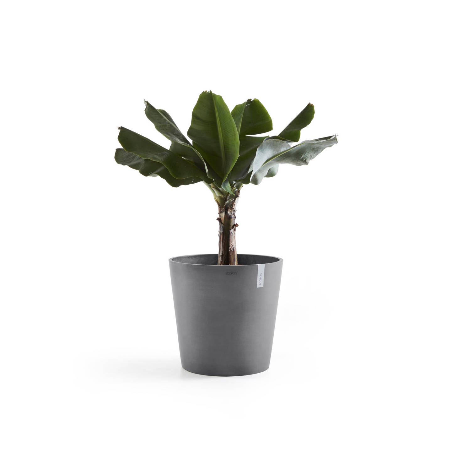 Ruukku Ecopots Amsterdam 60cm harmaa