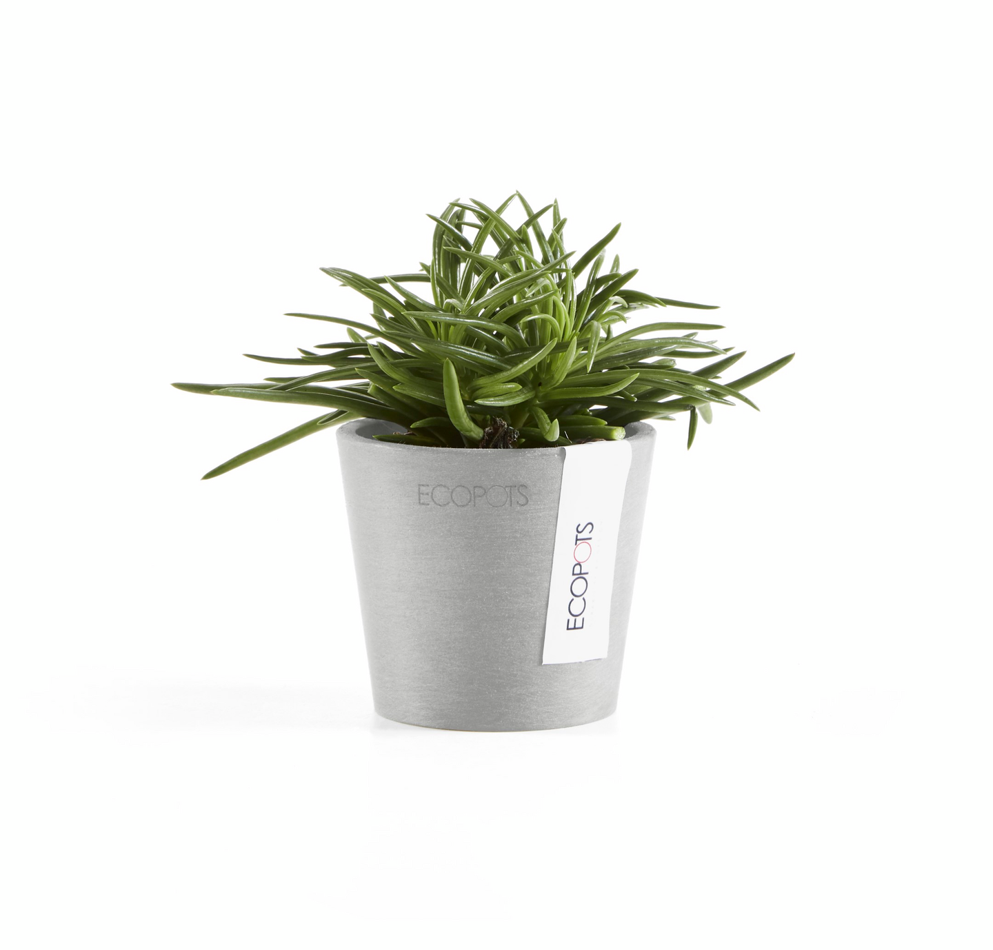 Ruukku Ecopots Amsterdam mini 8cm valkoharmaa
