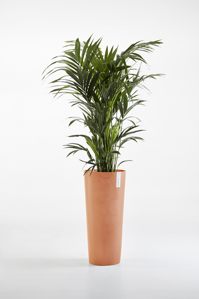 Ruukku Ecopots Amsterdam korkea 72,5cm terracotta