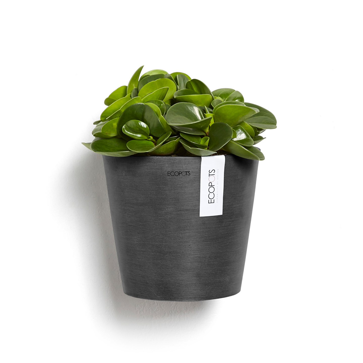 Seinäruukku Ecopots Amsterdam 20cm tummanharmaa