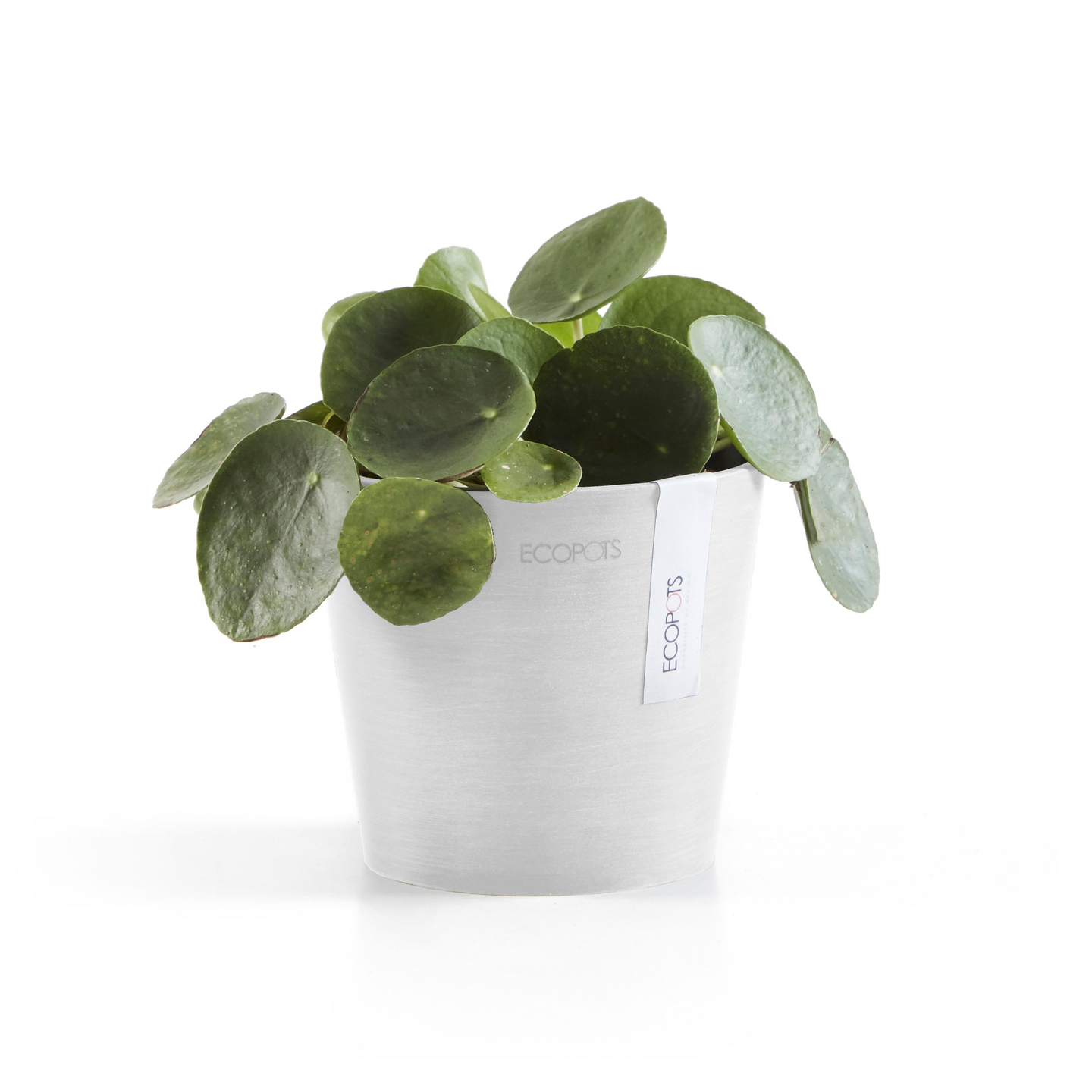 Ruukku Ecopots Amsterdam mini 13cm valkoinen