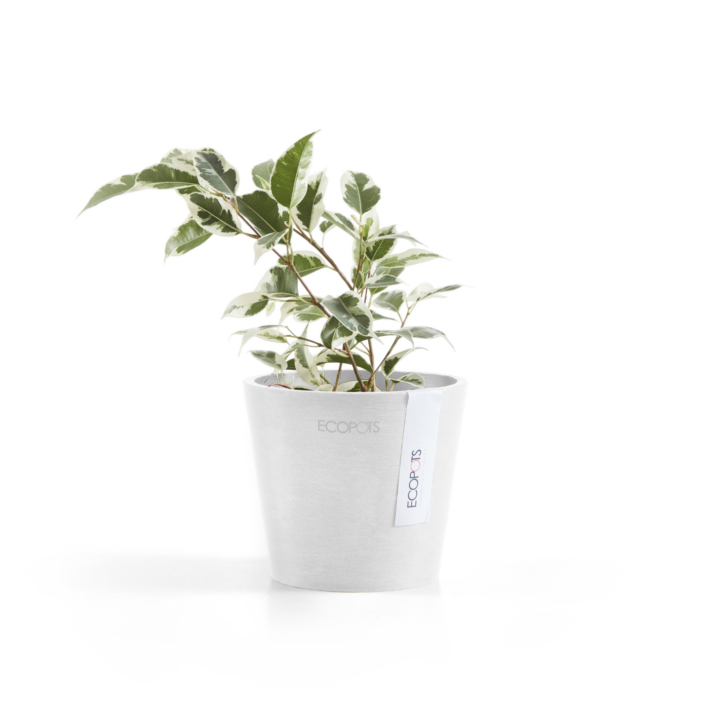 Ruukku Ecopots Amsterdam mini 10,5cm valkoinen