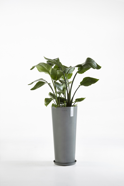 Ruukku Ecopots Amsterdam korkea 72,5cm harmaa
