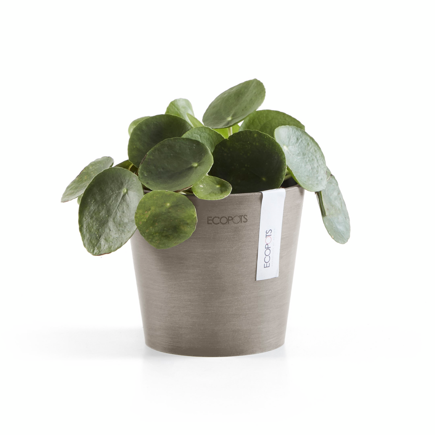 Ruukku Ecopots Amsterdam mini 13cm taupe