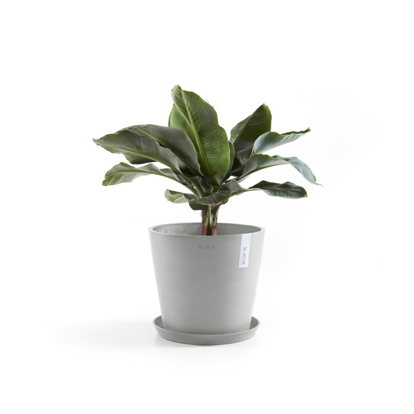 Ruukku Ecopots Amsterdam 30cm valkoharmaa