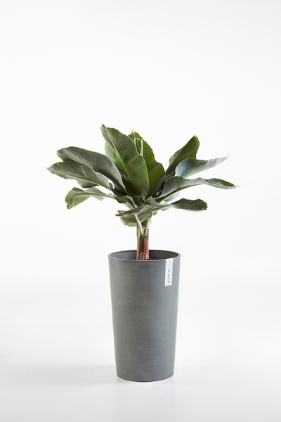 Ruukku Ecopots Amsterdam keskikorkea 50cm harmaa