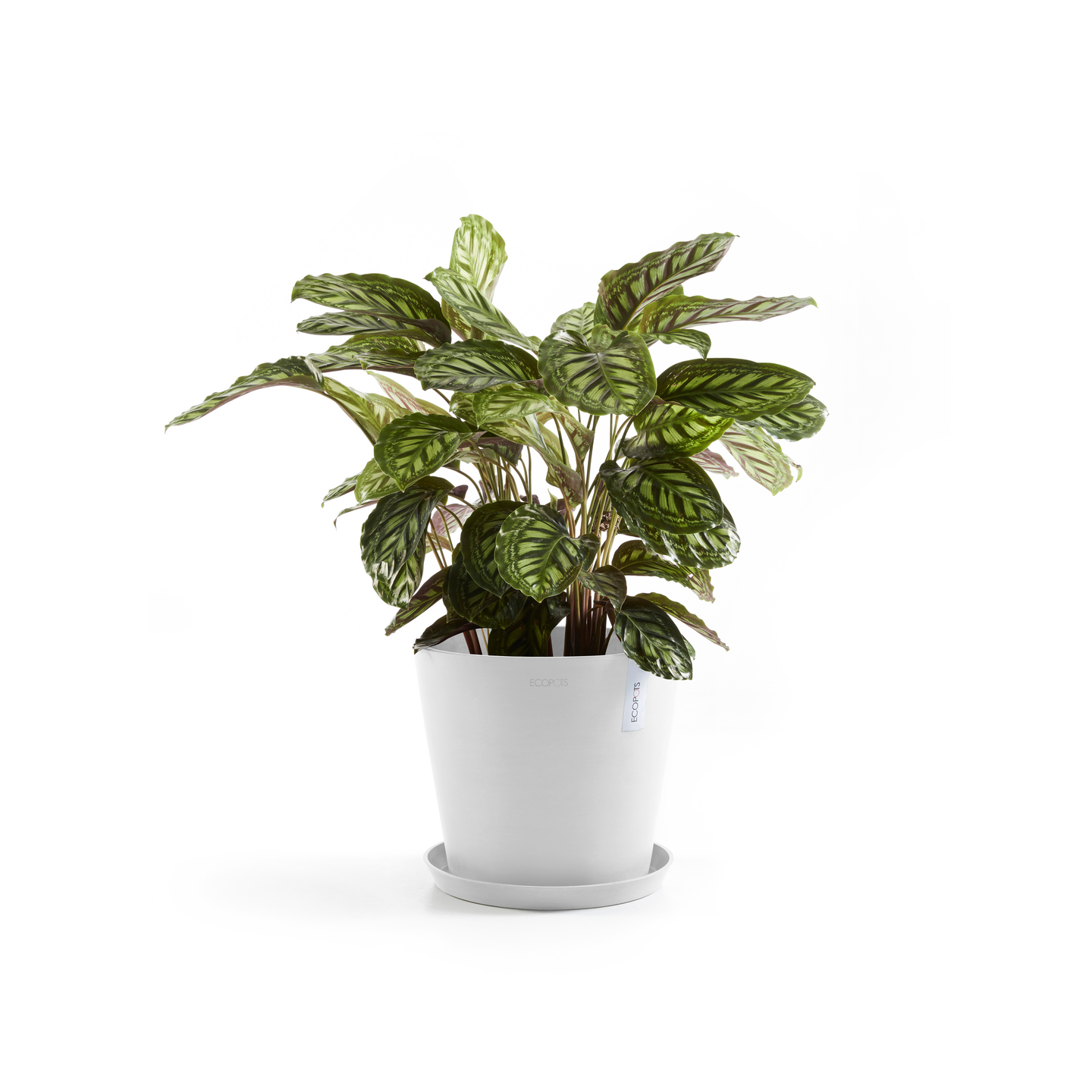 Ruukku Ecopots Amsterdam 25cm valkoinen