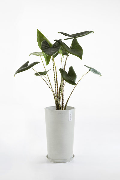 Ruukku Ecopots Amsterdam keskikorkea 50cm valkoharmaa