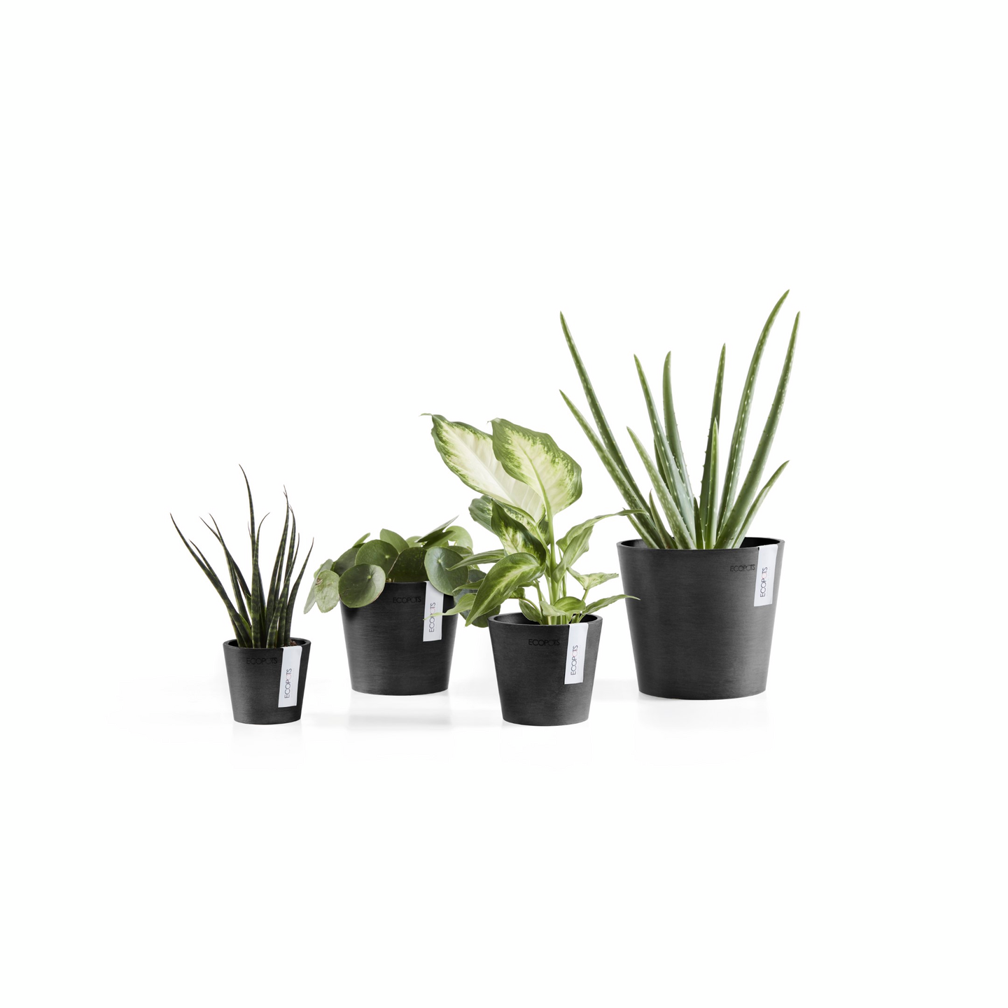 Ruukku Ecopots Amsterdam mini 8cm tummanharmaa