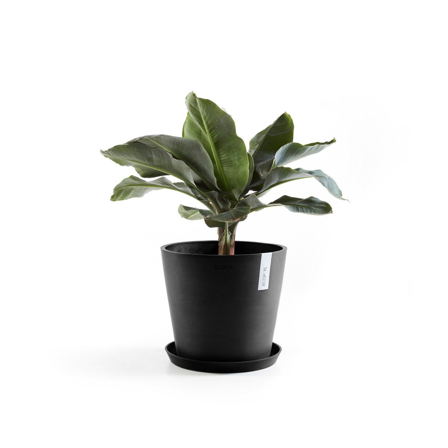 Ruukku Ecopots Amsterdam 30cm tummanharmaa