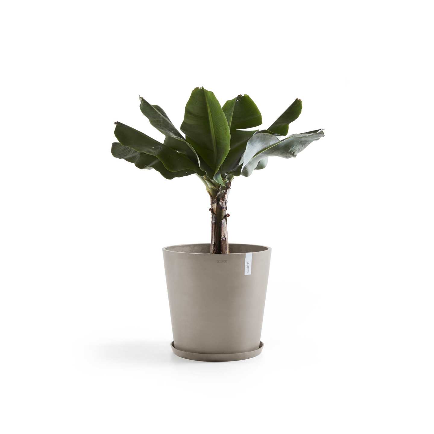 Ruukku Ecopots Amsterdam 50cm taupe