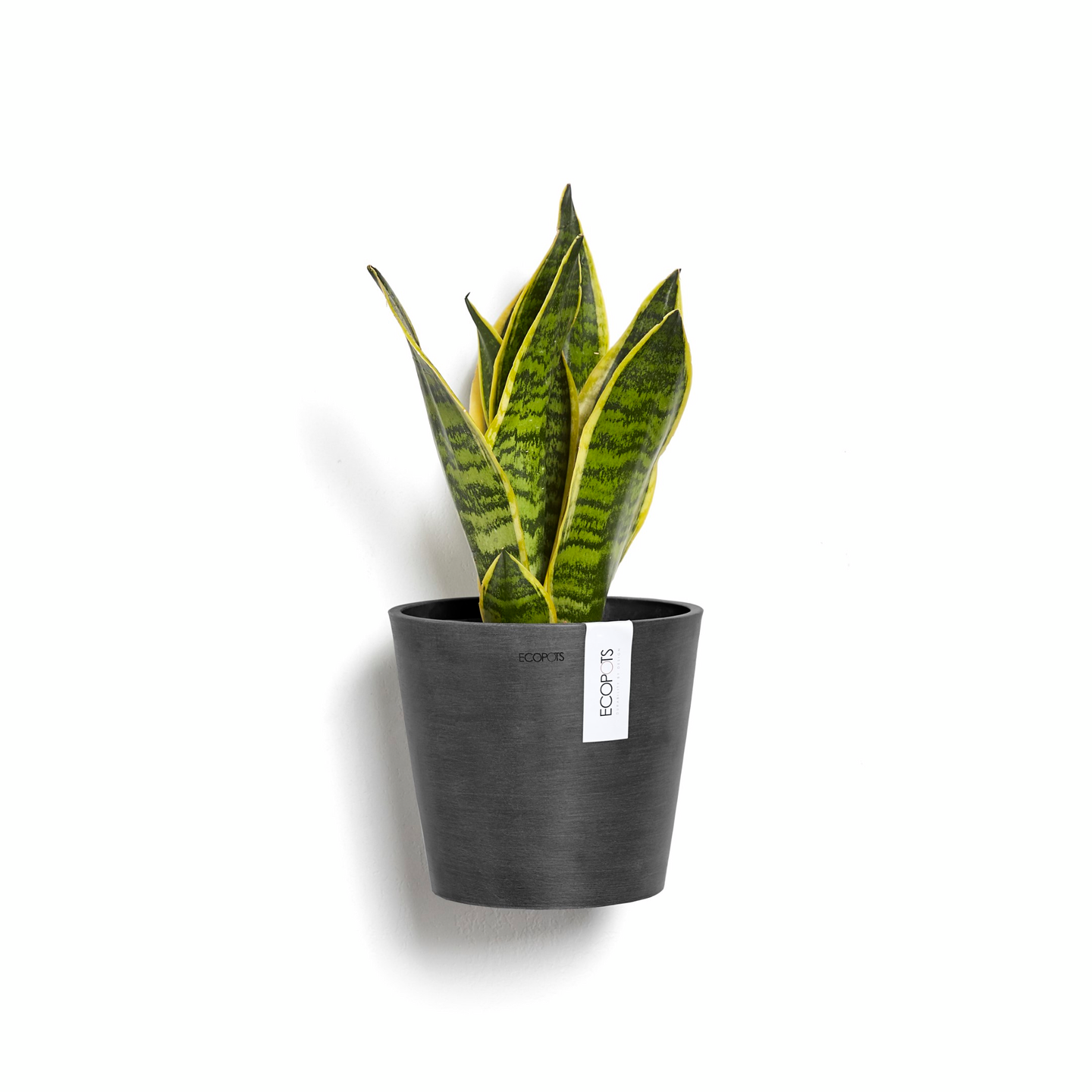 Seinäruukku Ecopots Amsterdam 20cm tummanharmaa