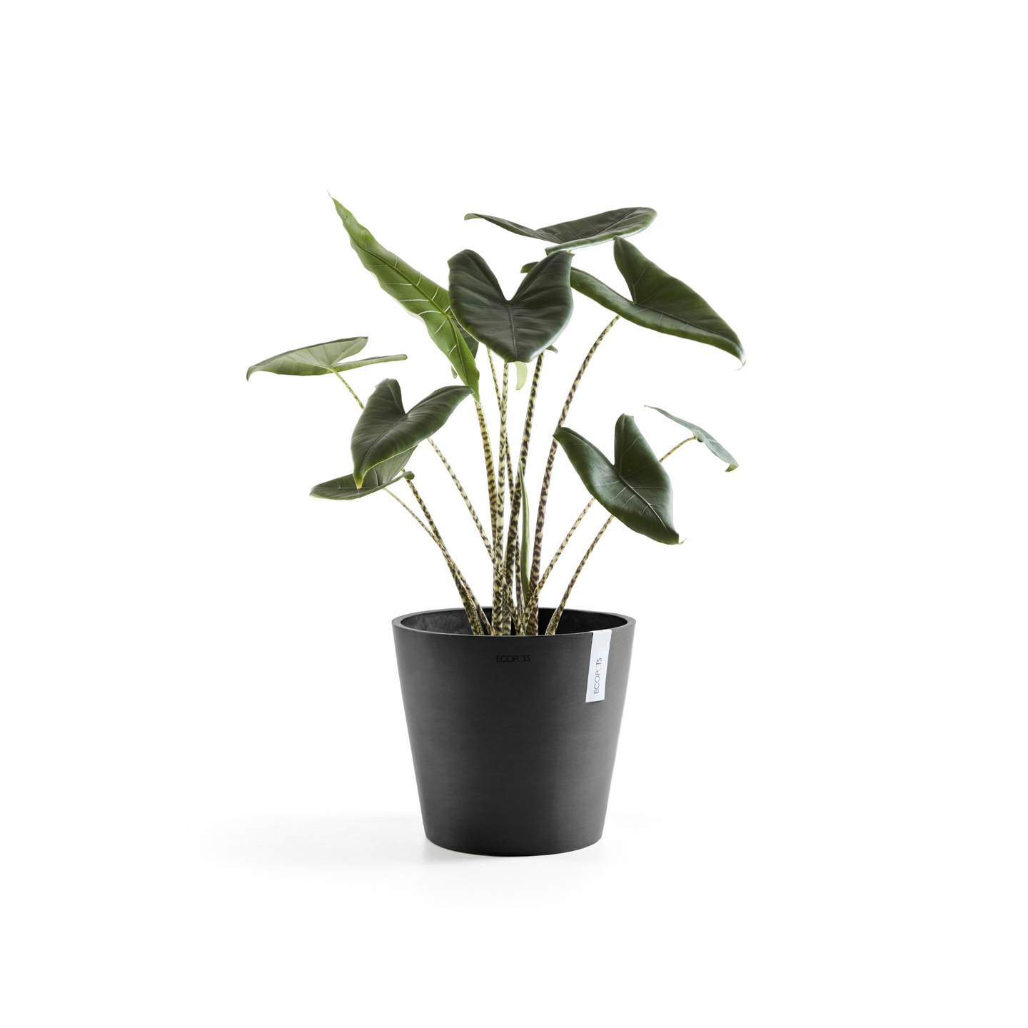 Ruukku Ecopots Amsterdam 30cm tummanharmaa