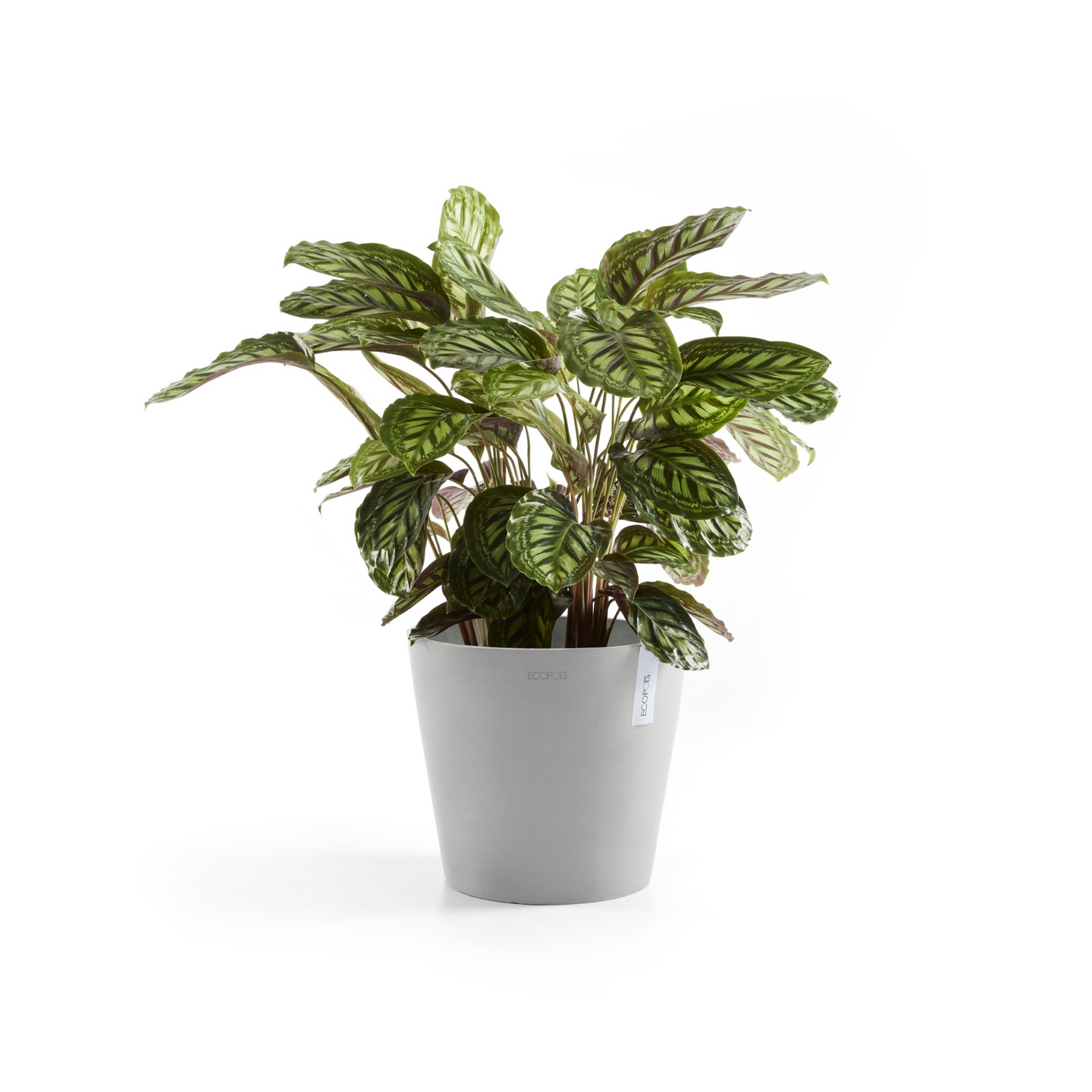 Ruukku Ecopots Amsterdam 30cm valkoharmaa