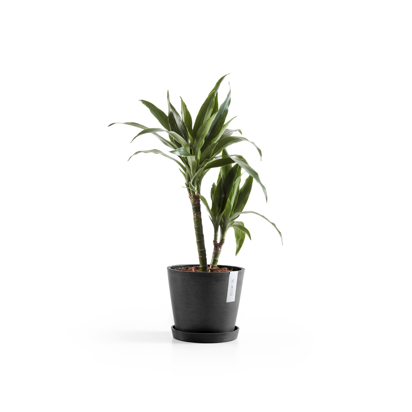 Ruukku Ecopots Amsterdam 20cm tummanharmaa