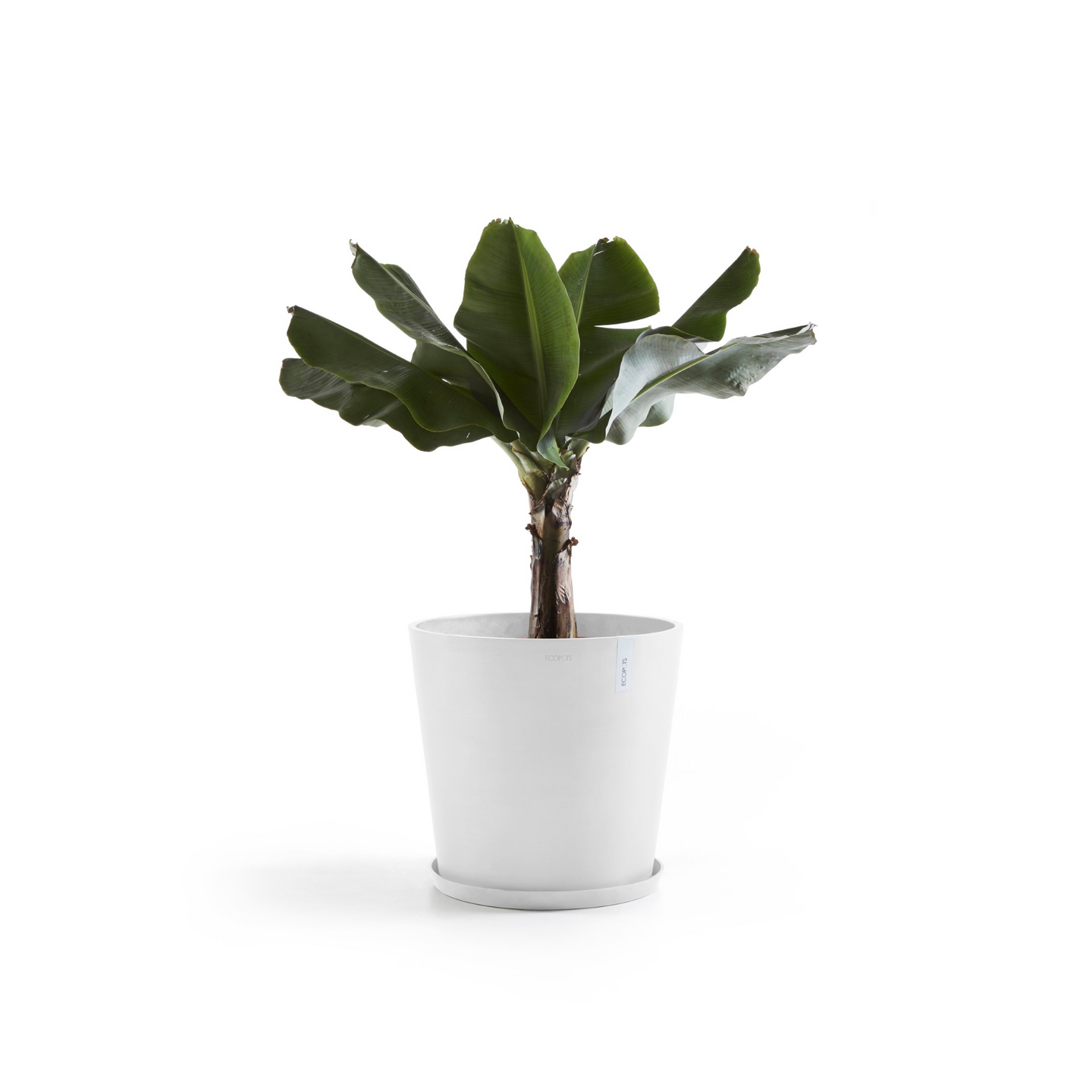 Ruukku Ecopots Amsterdam 50cm valkoinen