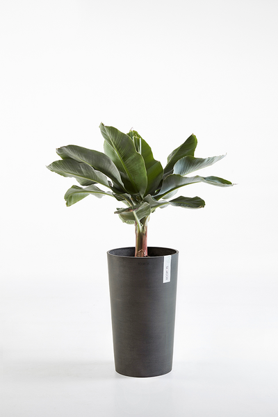 Ruukku Ecopots Amsterdam keskikorkea 50cm tummanharmaa