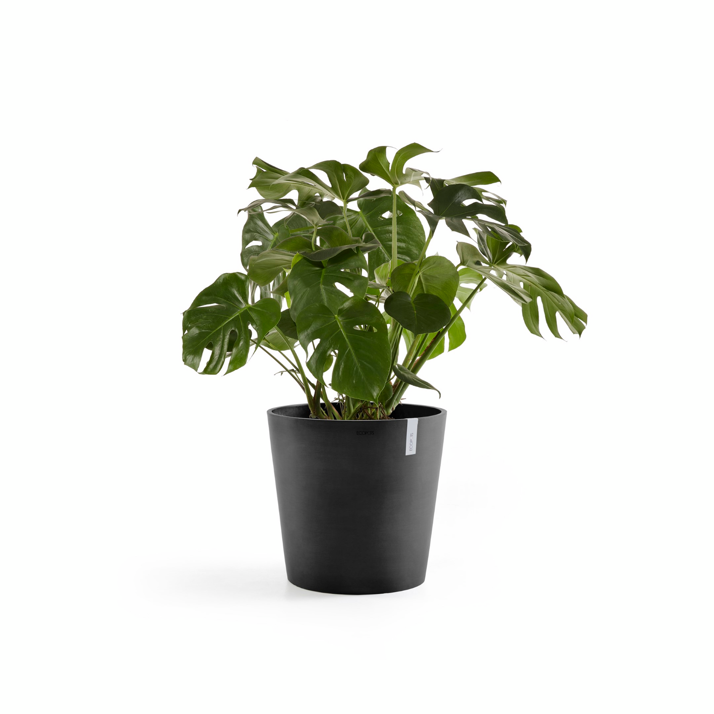 Ruukku Ecopots Amsterdam 50cm tummanharmaa