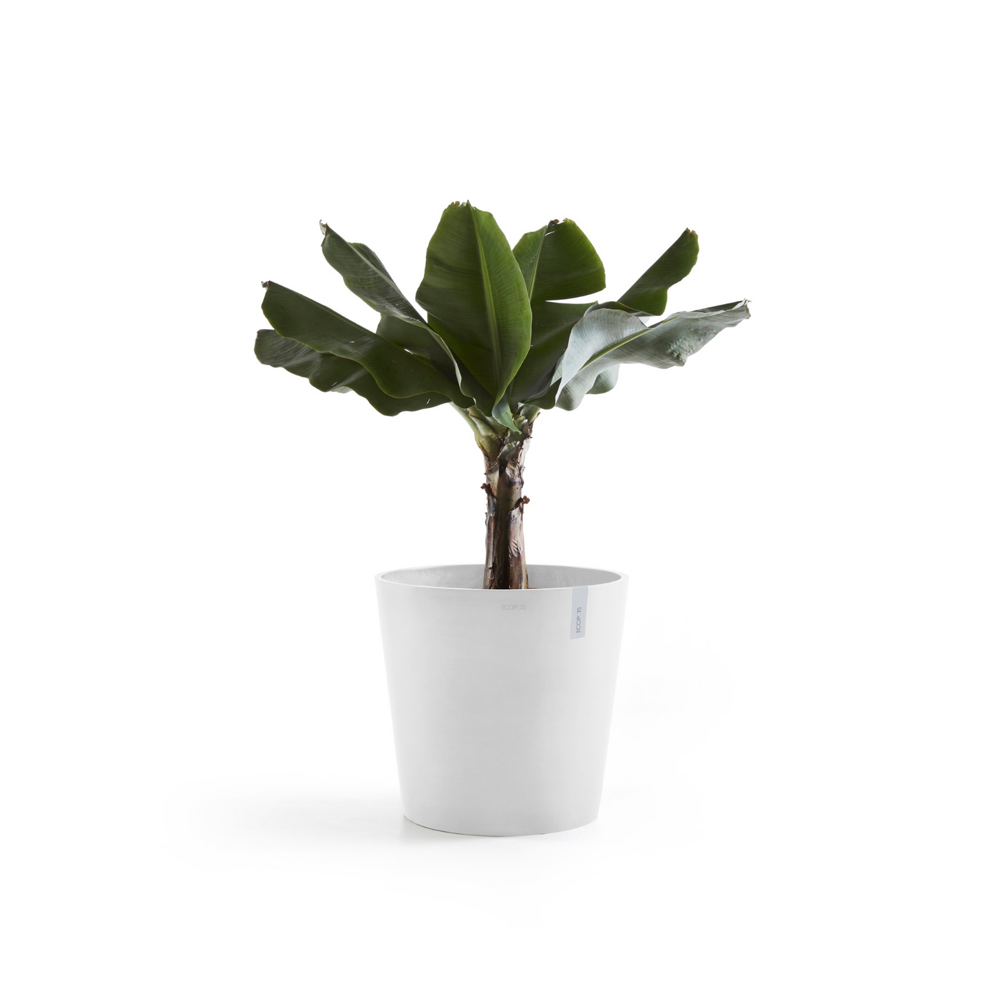 Ruukku Ecopots Amsterdam 50cm valkoinen