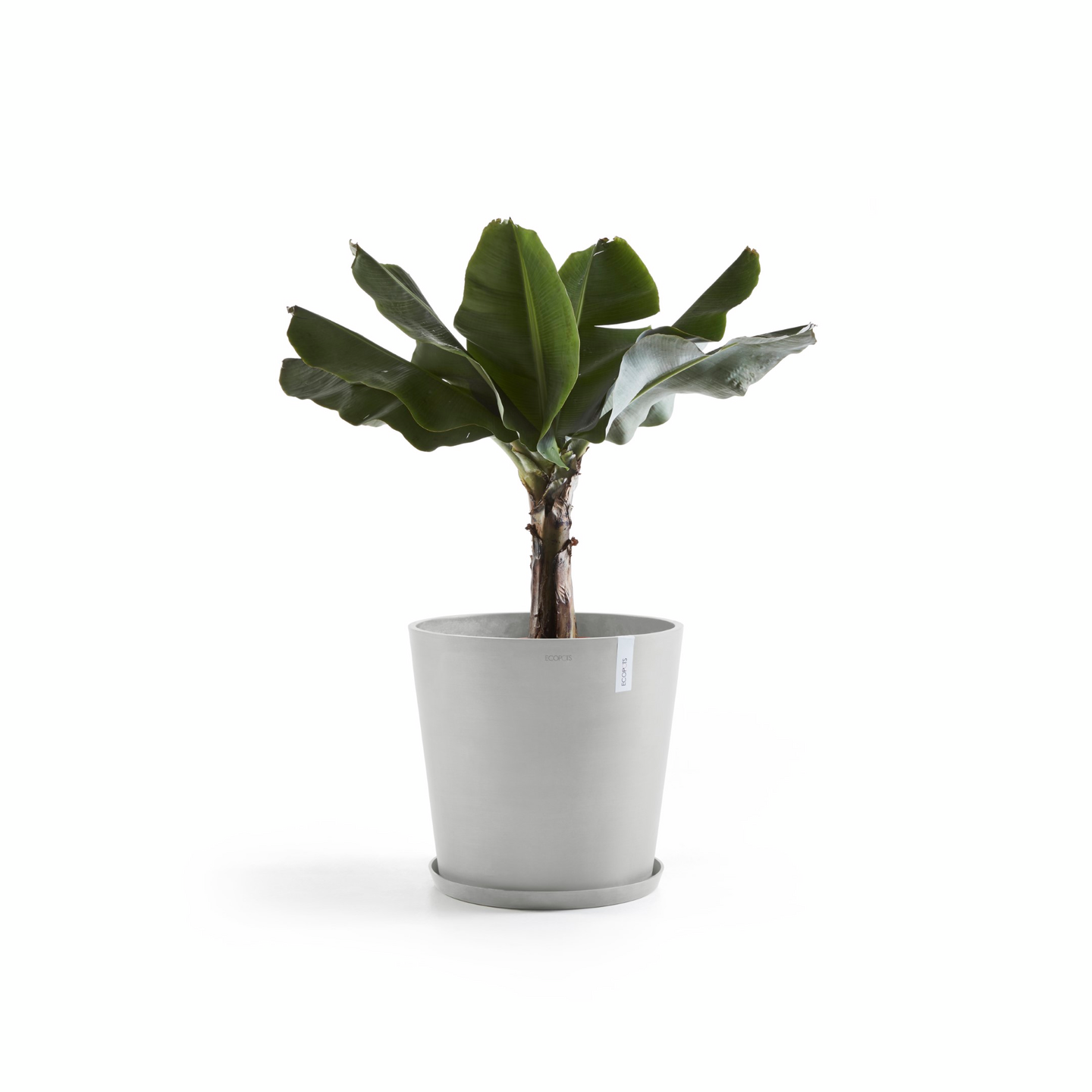 Ruukku Ecopots Amsterdam 60cm valkoharmaa