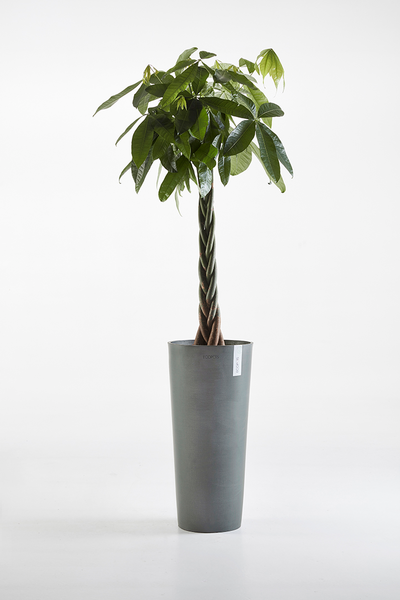 Ruukku Ecopots Amsterdam korkea 72,5cm harmaa