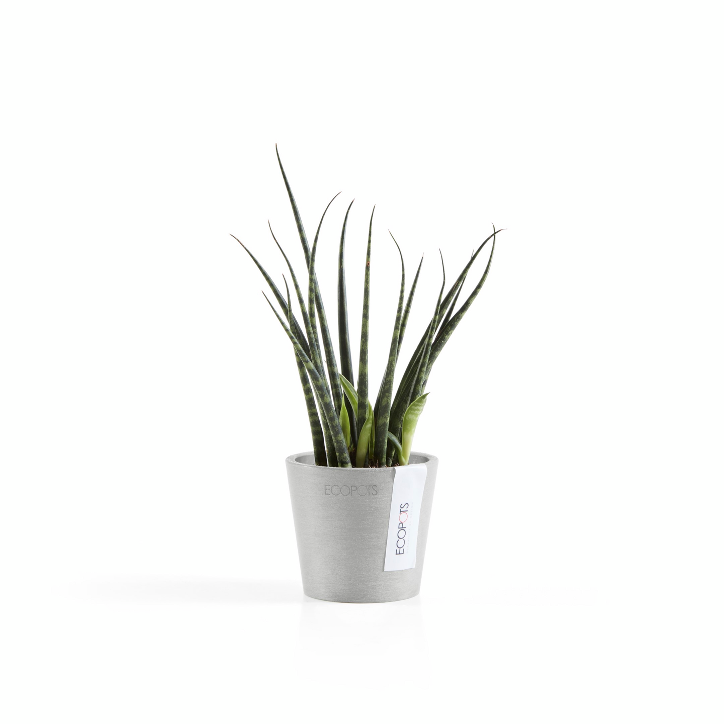Ruukku Ecopots Amsterdam mini 8cm valkoharmaa