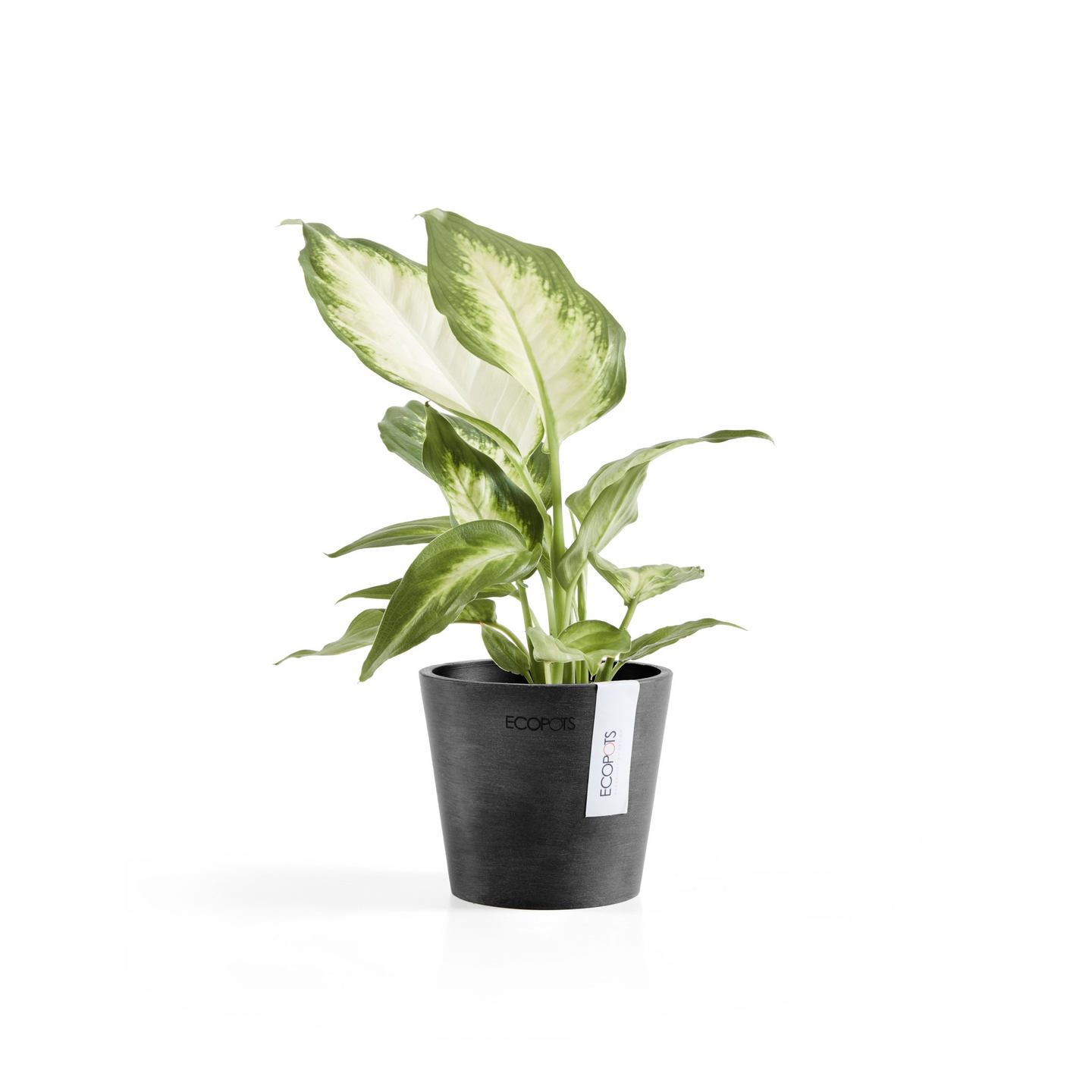 Ruukku Ecopots Amsterdam mini 10,5cm tummanharmaa