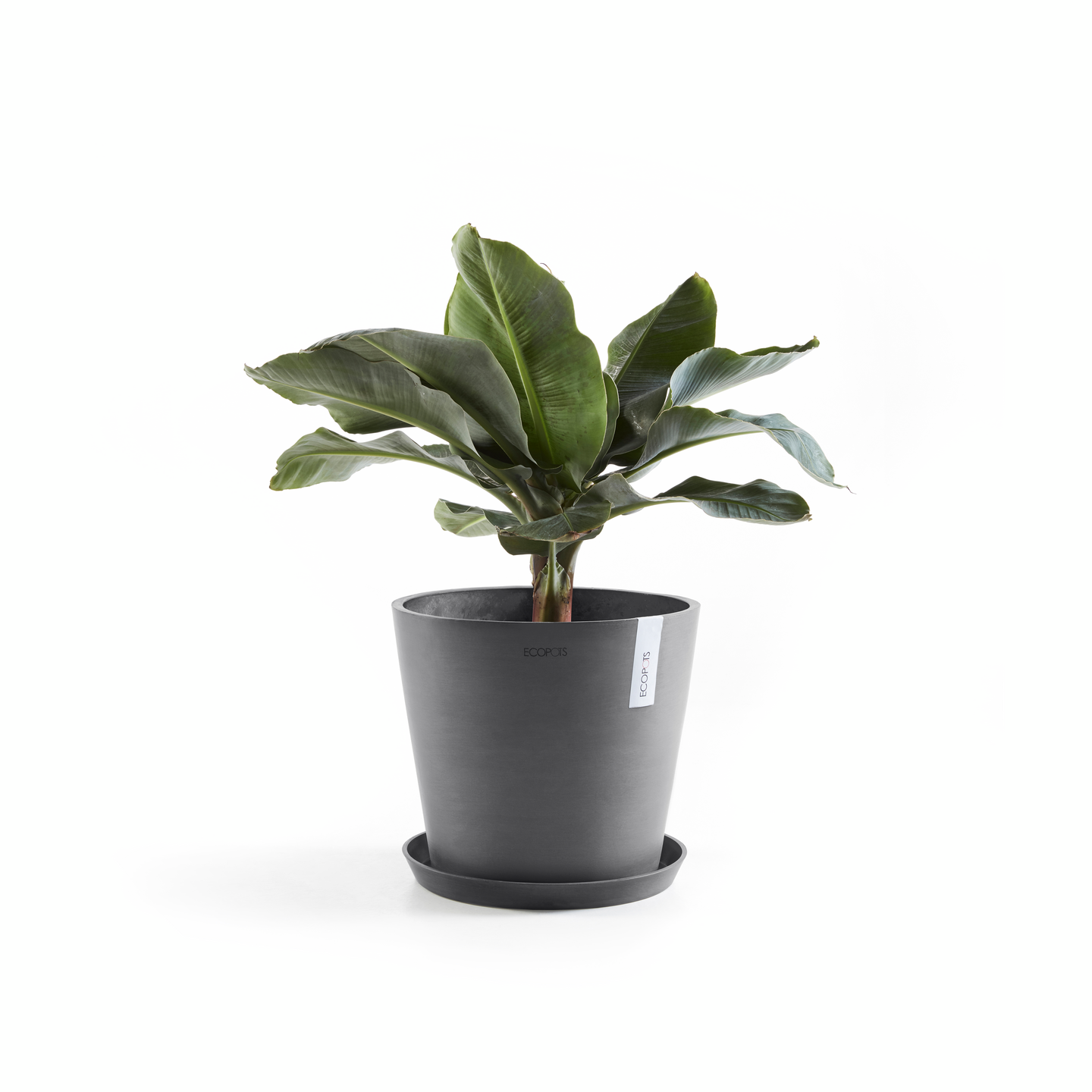 Ruukku Ecopots Amsterdam 25cm harmaa