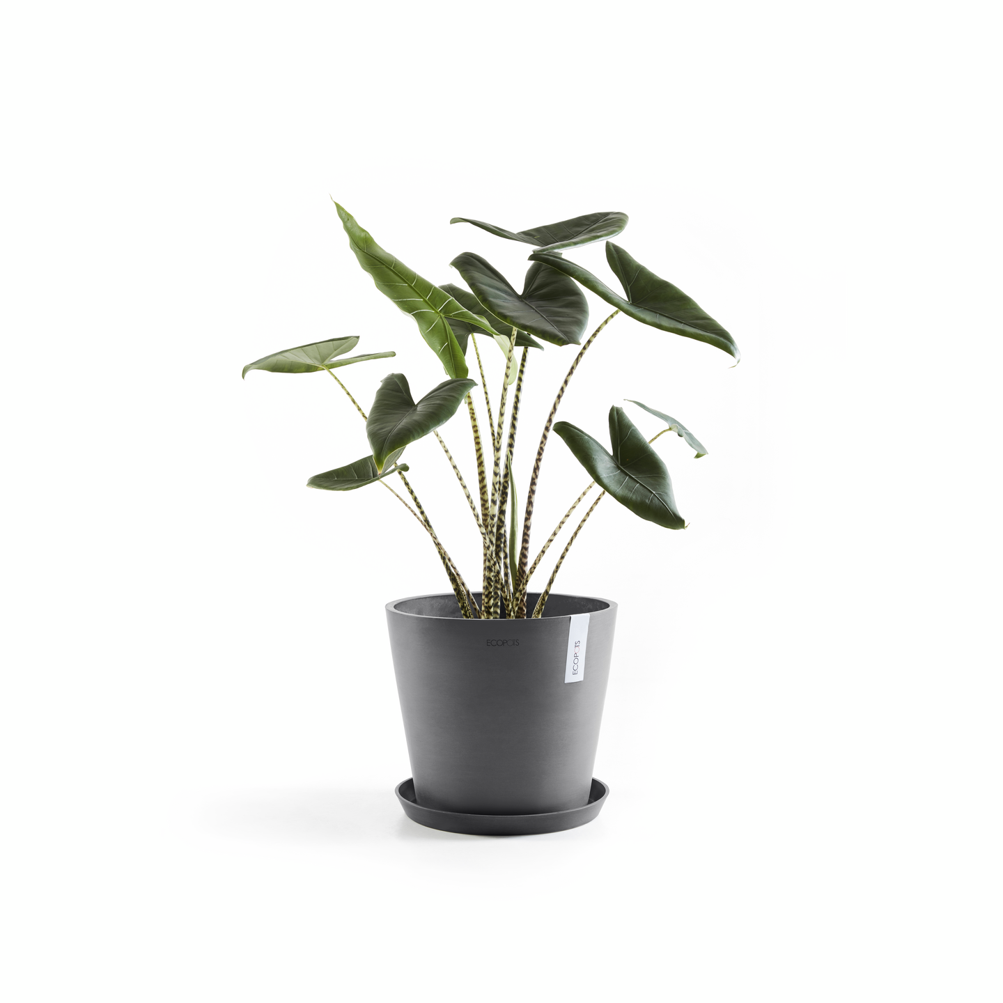 Ruukku Ecopots Amsterdam 25cm harmaa