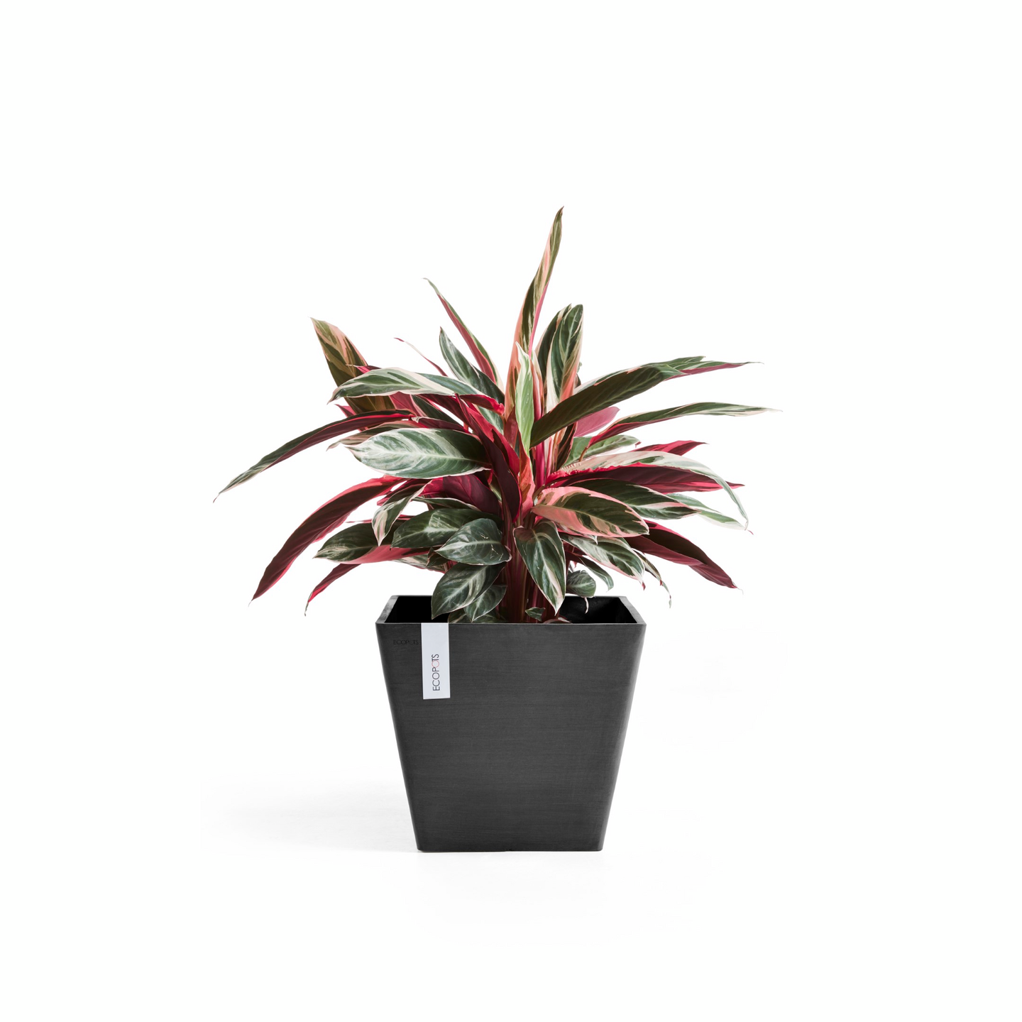Ruukku Ecopots Rotterdam 50cm tummanharmaa