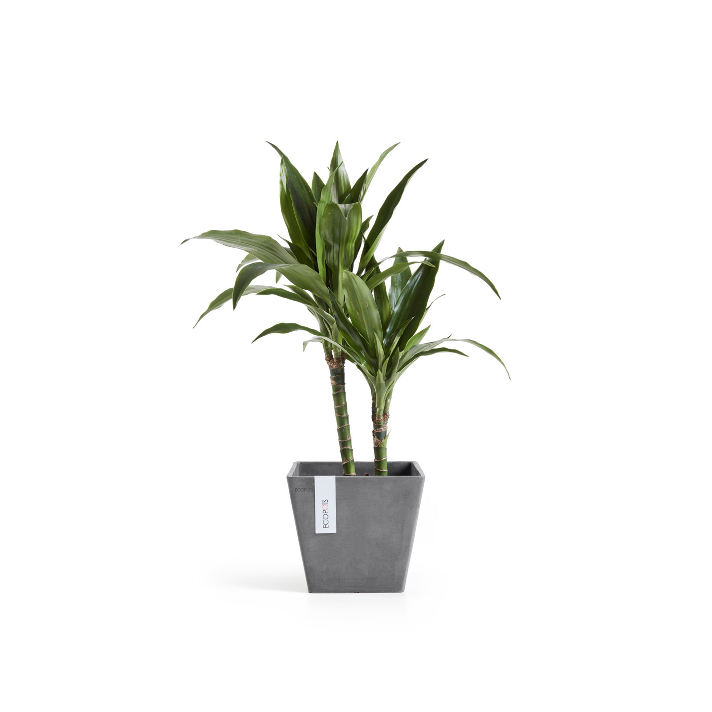 Ruukku Ecopots Rotterdam 20cm harmaa