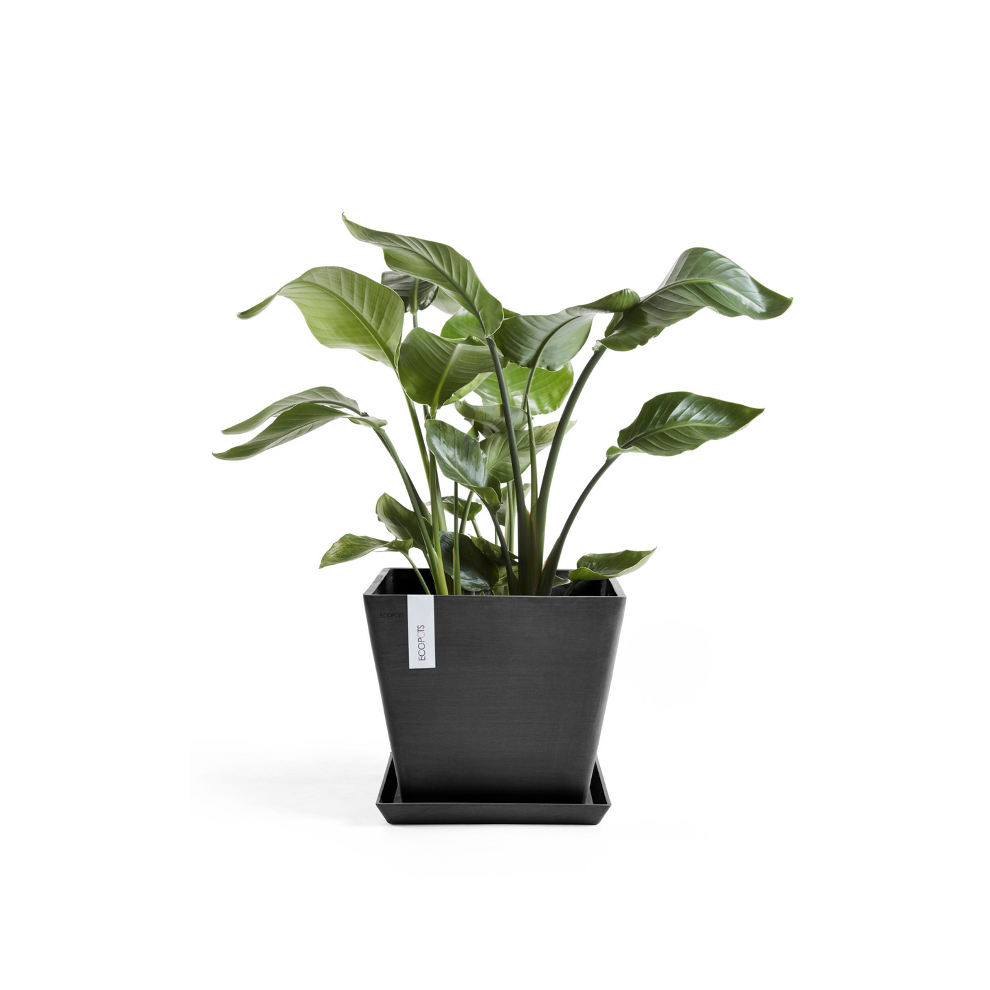 Ruukku Ecopots Rotterdam 40cm tummanharmaa