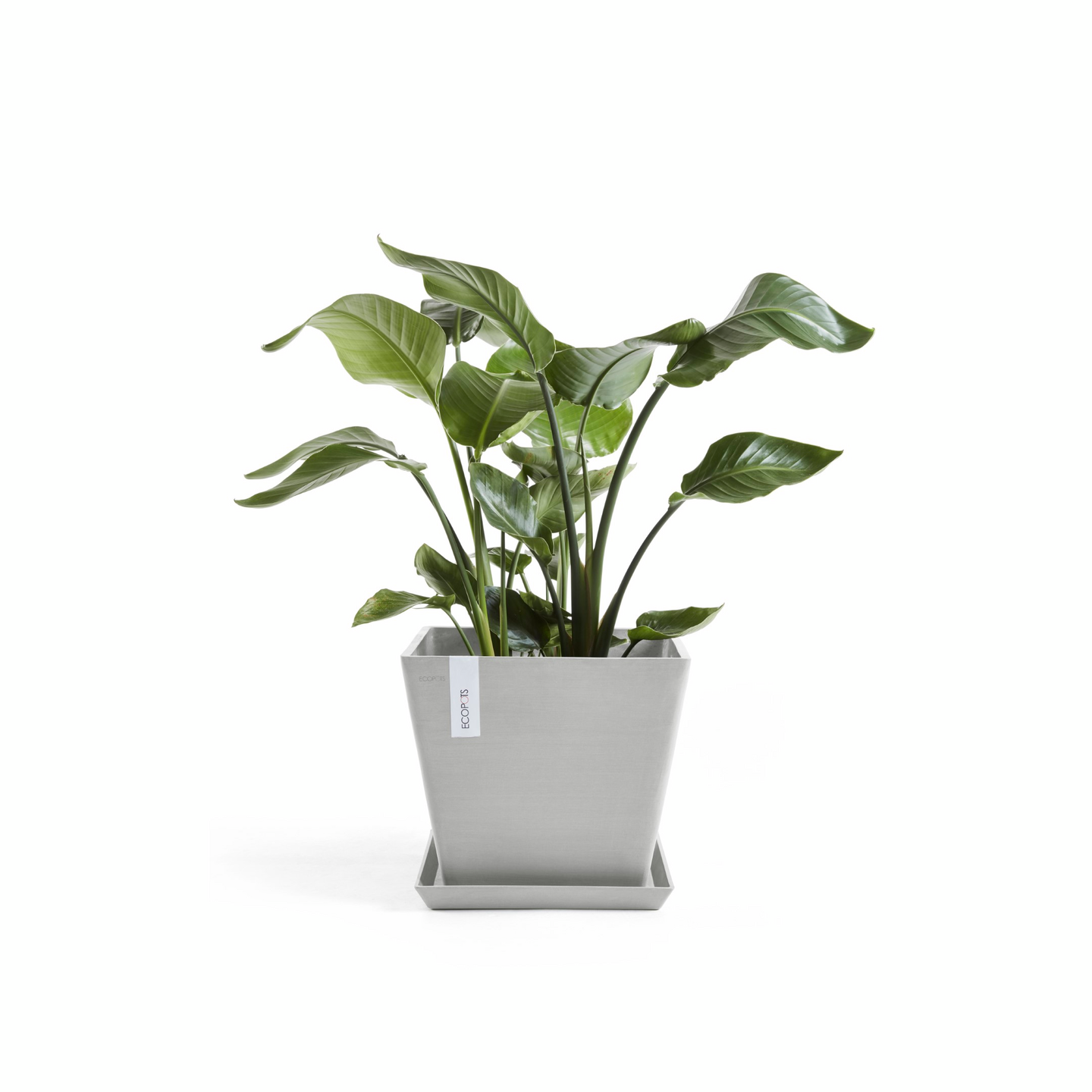 Ruukku Ecopots Rotterdam 50cm valkoharmaa