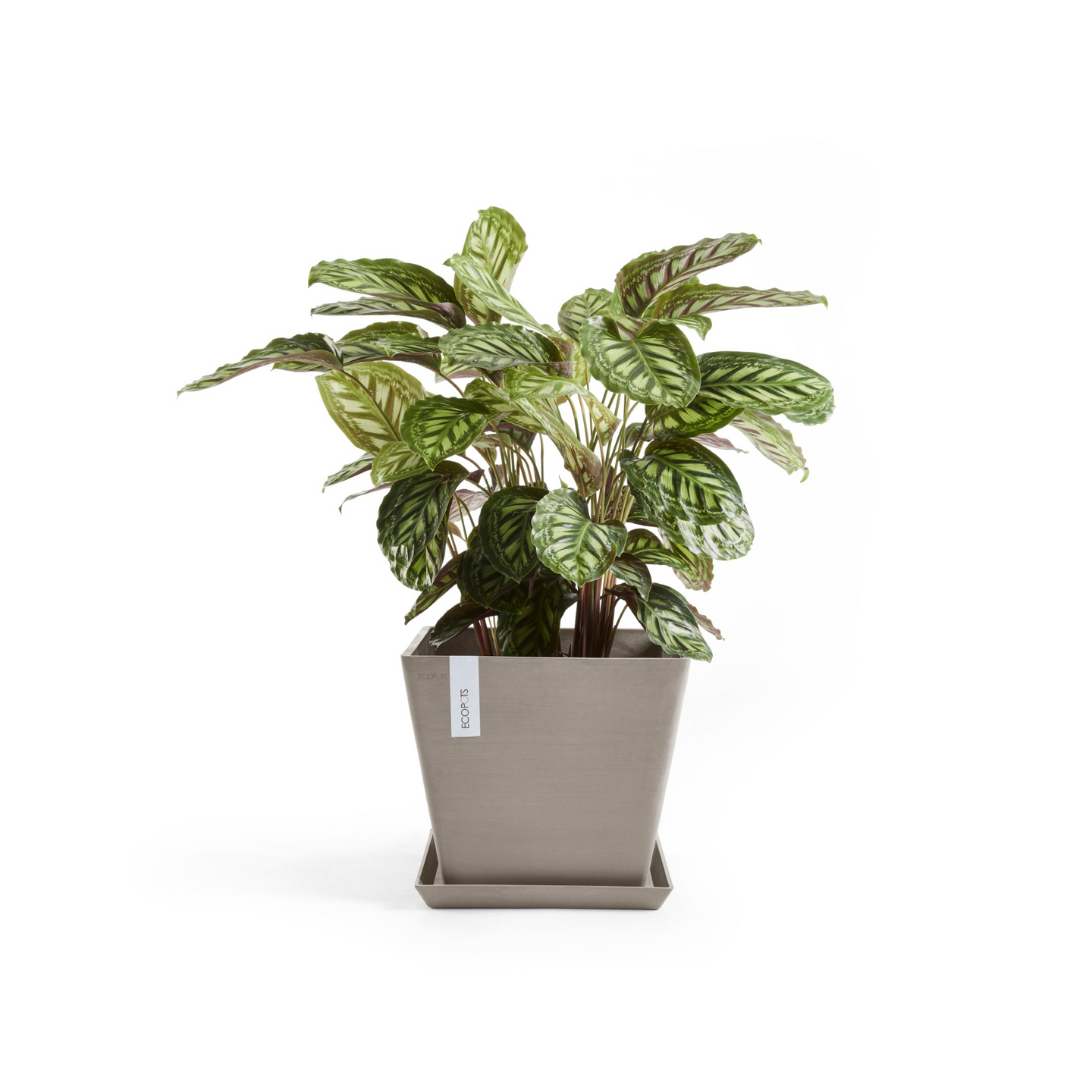 Ruukku Ecopots Rotterdam 50cm taupe